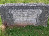 image of grave number 530271